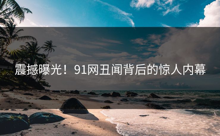 震撼曝光！91网丑闻背后的惊人内幕