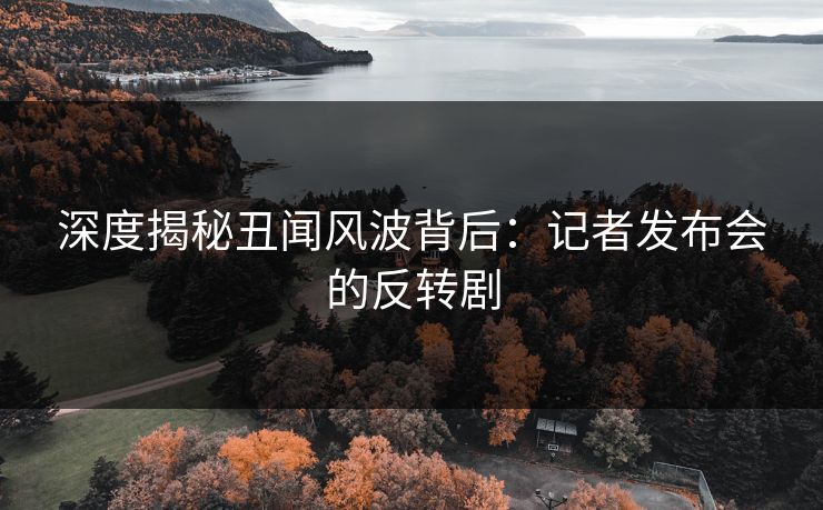 深度揭秘丑闻风波背后：记者发布会的反转剧