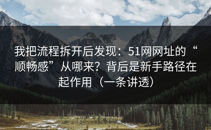 我把流程拆开后发现：51网网址的“顺畅感”从哪来？背后是新手路径在起作用（一条讲透）